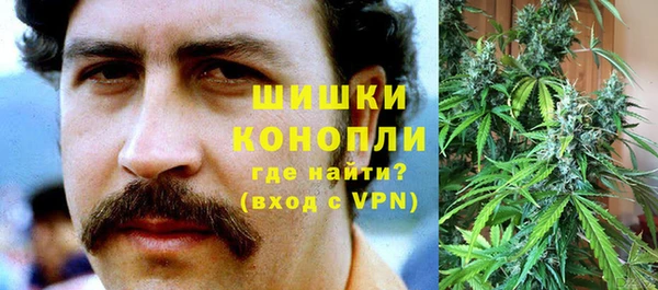 бутират Белокуриха