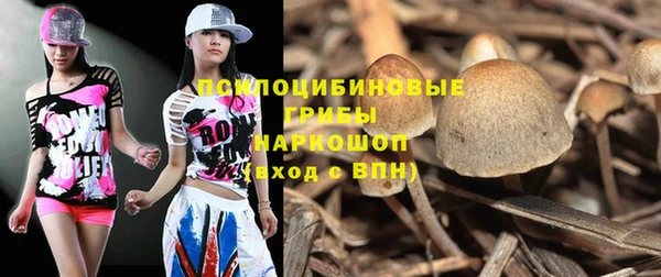 бутират Белокуриха