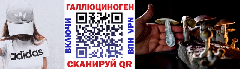купить закладку  Оха  ОМГ ОМГ зеркало  Галлюциногенные грибы мицелий 